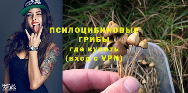 тгк Белокуриха