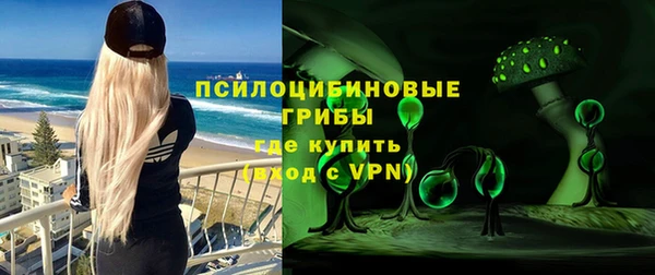 тгк Белокуриха
