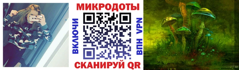 ссылка на мегу ССЫЛКА  Полесск  Псилоцибиновые грибы GOLDEN TEACHER 